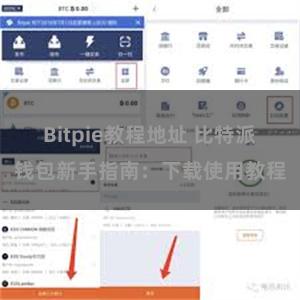 Bitpie教程地址 比特派钱包新手指南：下载使用教程