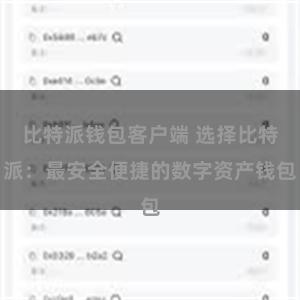 比特派钱包客户端 选择比特派：最安全便捷的数字资产钱包