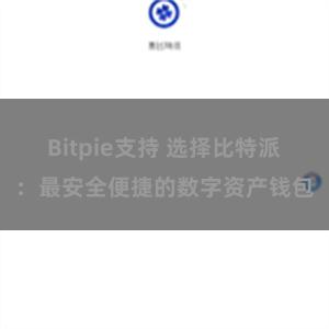 Bitpie支持 选择比特派：最安全便捷的数字资产钱包