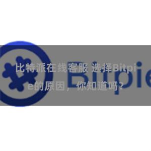 比特派在线客服 选择Bitpie的原因，你知道吗？