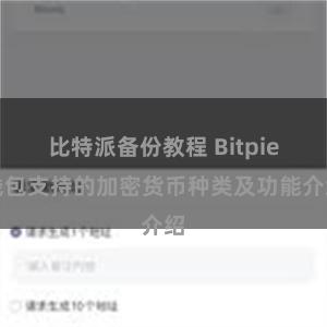 比特派备份教程 Bitpie钱包支持的加密货币种类及功能介绍