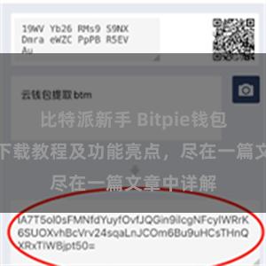 比特派新手 Bitpie钱包最新版本下载教程及功能亮点，尽在一篇文章中详解