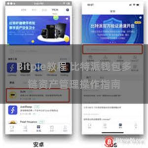 Bitpie教程 比特派钱包多链资产管理操作指南