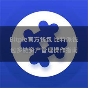 Bitpie官方钱包 比特派钱包多链资产管理操作指南