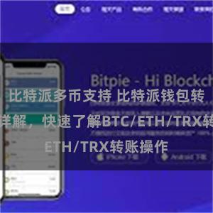 比特派多币支持 比特派钱包转账教程详解，快速了解BTC/ETH/TRX转账操作