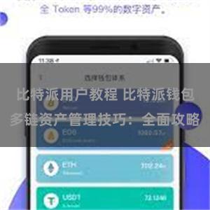 比特派用户教程 比特派钱包多链资产管理技巧：全面攻略