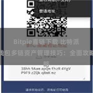 Bitpie直链下载 比特派钱包多链资产管理技巧：全面攻略