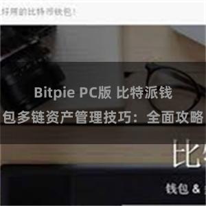 Bitpie PC版 比特派钱包多链资产管理技巧：全面攻略