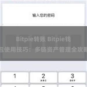 Bitpie转账 Bitpie钱包使用技巧：多链资产管理全攻略