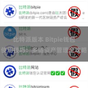 比特派版本 Bitpie钱包使用技巧：多链资产管理全攻略