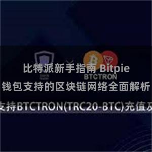 比特派新手指南 Bitpie钱包支持的区块链网络全面解析