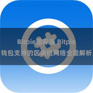 Bitpie国际版 Bitpie钱包支持的区块链网络全面解析