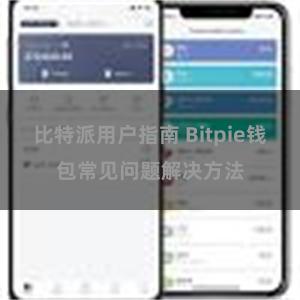 比特派用户指南 Bitpie钱包常见问题解决方法