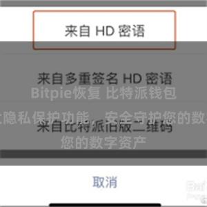 Bitpie恢复 比特派钱包：强大隐私保护功能，安全守护您的数字资产