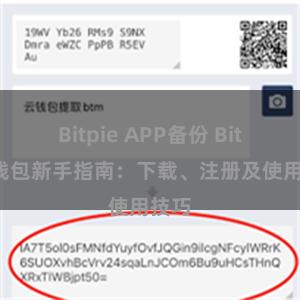 Bitpie APP备份 Bitpie钱包新手指南：下载、注册及使用技巧