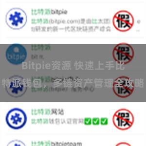 Bitpie资源 快速上手比特派钱包，多链资产管理全攻略