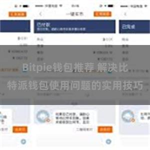 Bitpie钱包推荐 解决比特派钱包使用问题的实用技巧