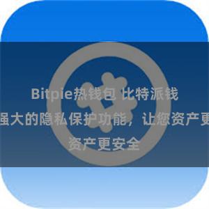 Bitpie热钱包 比特派钱包：强大的隐私保护功能，让您资产更安全