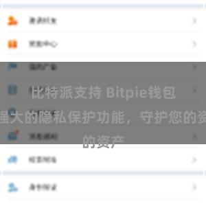 比特派支持 Bitpie钱包：强大的隐私保护功能，守护您的资产