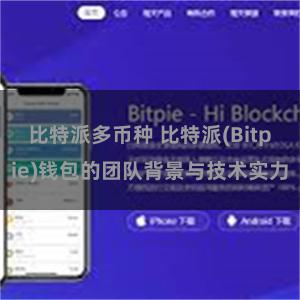 比特派多币种 比特派(Bitpie)钱包的团队背景与技术实力