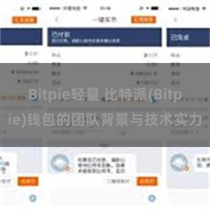 Bitpie轻量 比特派(Bitpie)钱包的团队背景与技术实力