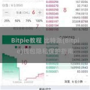 Bitpie教程 比特派(Bitpie)钱包隐私保护指南