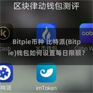 Bitpie币种 比特派(Bitpie)钱包如何设置每日限额？