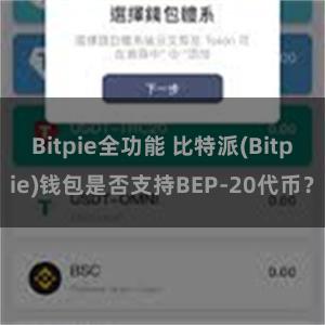 Bitpie全功能 比特派(Bitpie)钱包是否支持BEP-20代币？