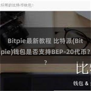 Bitpie最新教程 比特派(Bitpie)钱包是否支持BEP-20代币？