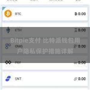 Bitpie支付 比特派钱包用户隐私保护措施详解