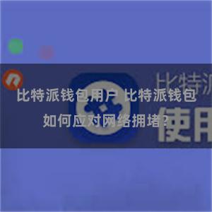 比特派钱包用户 比特派钱包如何应对网络拥堵？