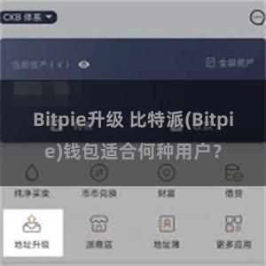 Bitpie升级 比特派(Bitpie)钱包适合何种用户？