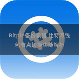 Bitpie备份教程 比特派钱包节点切换功能解析