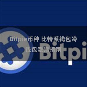 Bitpie币种 比特派钱包冷钱包激活指南