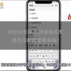 Bitpie支持 比特派钱包支持的币种数量够多吗？