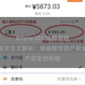 Bitpie iOS 比特派钱包分层加密技术解析：保障数字资产安全的利器
