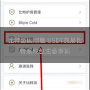 比特派国际版 USDT交易比特派钱包注意事项
