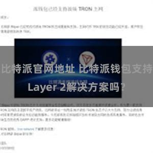 比特派官网地址 比特派钱包支持Layer 2解决方案吗？