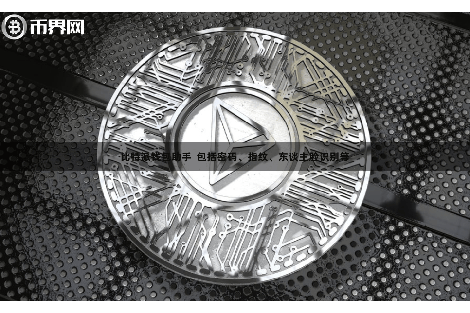 比特派钱包助手  包括密码、指纹、东谈主脸识别等