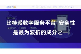 比特派数字服务平台  安全性是最为波折的成分之一