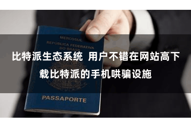 比特派生态系统  用户不错在网站高下载比特派的手机哄骗设施