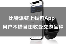 比特派链上钱包App  用户不错目田收受交游品种