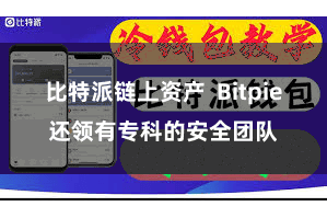 比特派链上资产 Bitpie还领有专科的安全团队