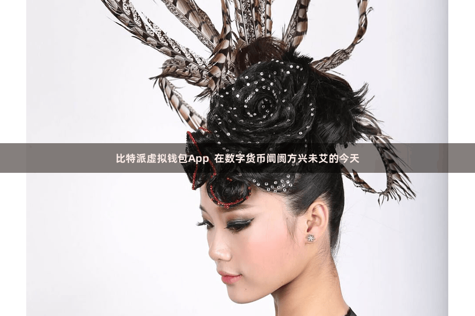 比特派虚拟钱包App  在数字货币阛阓方兴未艾的今天