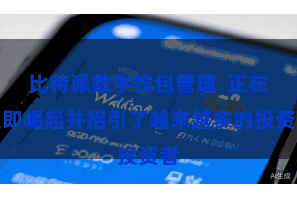 比特派数字钱包管理  正在速即崛起并招引了越来越多的投资者