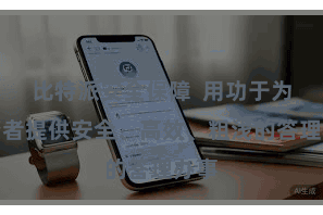 比特派安全保障  用功于为投资者提供安全、高效、粗浅的答理办事