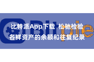 比特派App下载  松驰检验各样资产的余额和往复纪录
