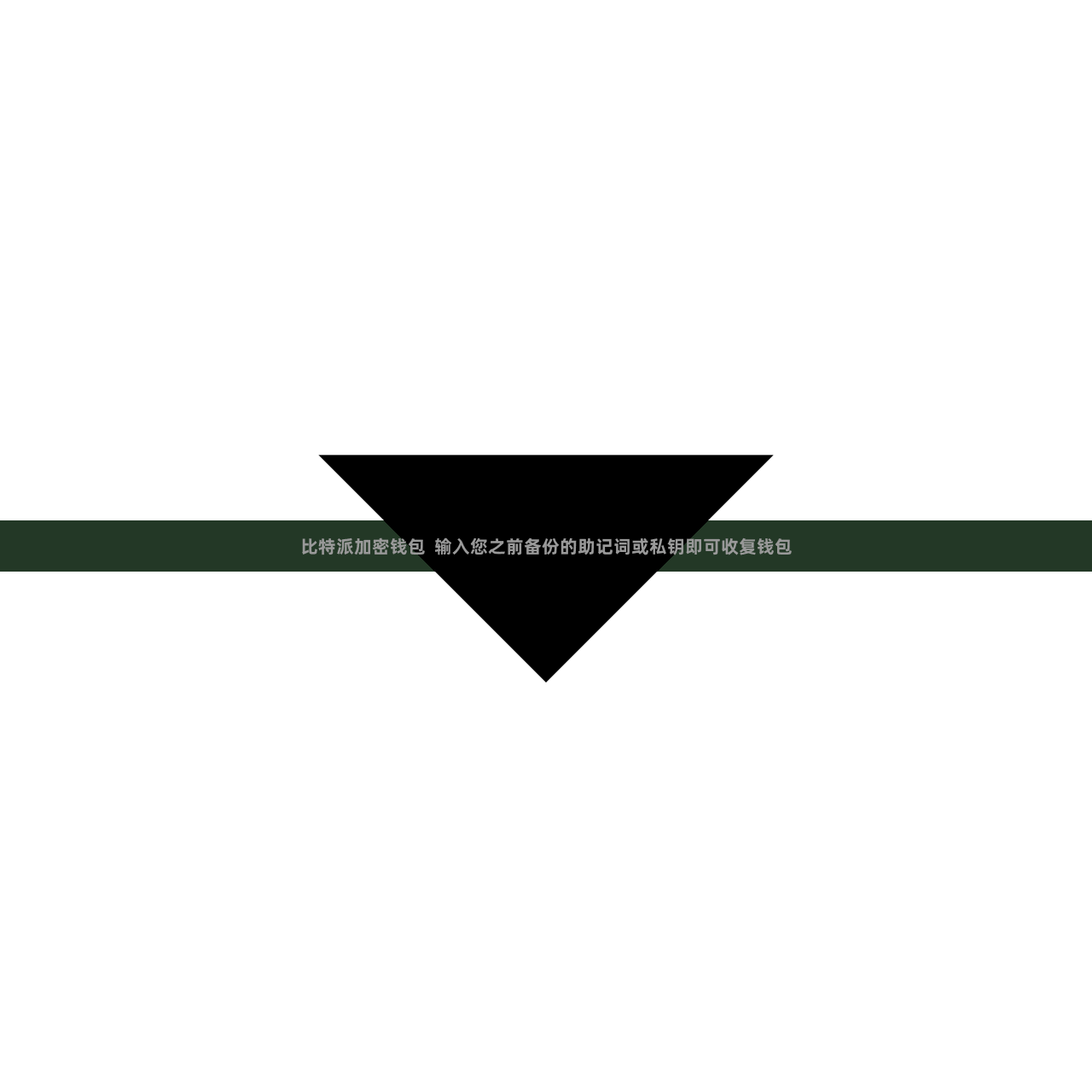 比特派加密钱包  输入您之前备份的助记词或私钥即可收复钱包