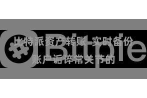 比特派资产转账  实时备份账户诟谇常关节的