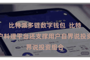 比特派多链数字钱包  比特派账户料理平台还支撑用户自界说投资组合